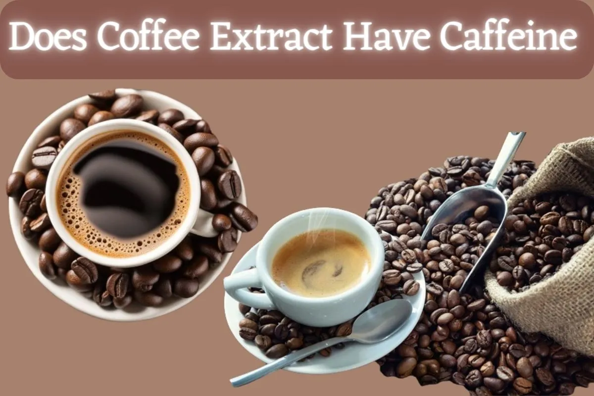 Does Coffee Extract Have Caffeine: Get The Truth In 2024