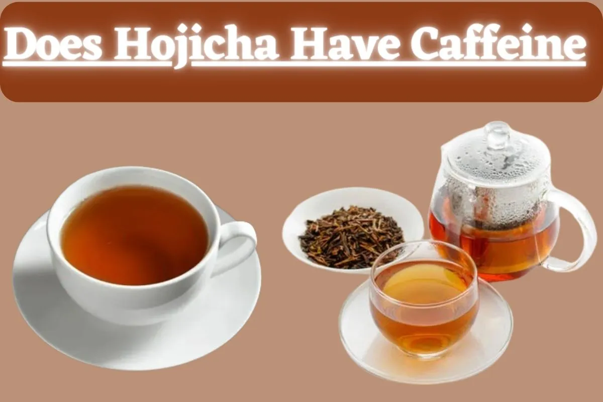 Does Hojicha Have Caffeine? Find Out The Truth In 2024