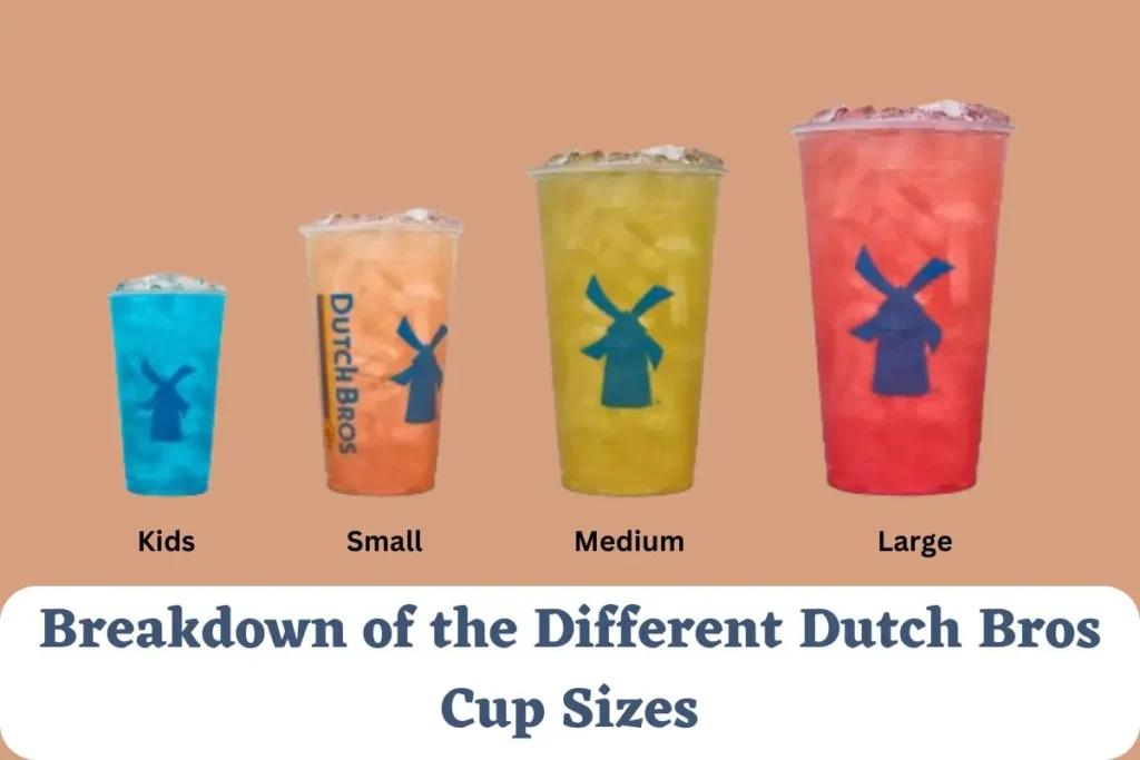 Dutch Bros Cup Sizes- Get Ultimate Guide In 2024