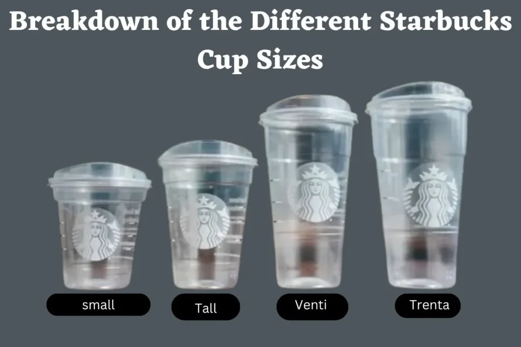 Starbucks Cup Sizes
